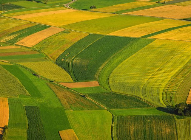 Успял български фермер обработва 4500 декара земя