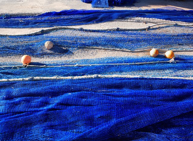 Собственик на малък рибен магазин отваря модерен цех за преработка на риба