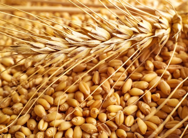 Млад фермер без кредитна история купува трактор и започва да се занимава със земеделие