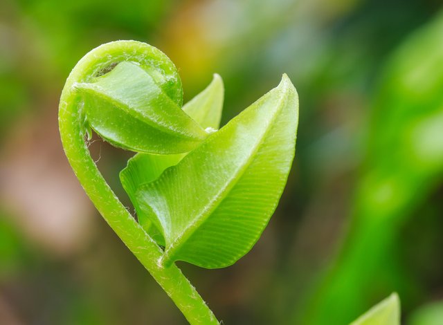 Модерно европейско предприятие преработва зеленчуци в с. Долна Диканя