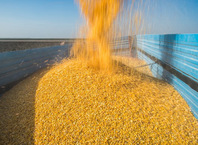 Инженер остава без работа и отваря своя мелница в село Бохот