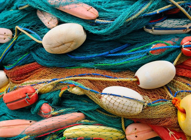 Guarantees for projects in the Fisheries sector