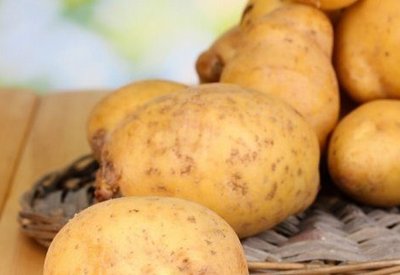 Модерно европейско предприятие преработва зеленчуци в с. Долна Диканя